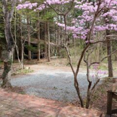 360度画像あり☆【戸建】古宿 戸建 画像11