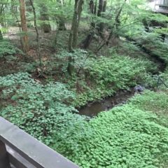 【戸建】旧軽井沢銀座至近　4LDK 画像16