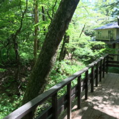 【戸建】旧軽井沢銀座至近　4LDK 画像3