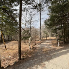 【売土地】上の原土地　約369坪 画像6