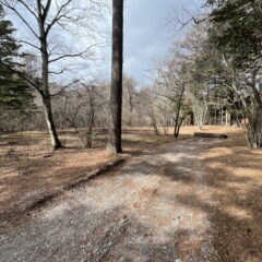 【売土地】上の原土地　約369坪 画像8