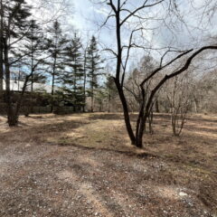 【売土地】上の原土地　約369坪 画像4