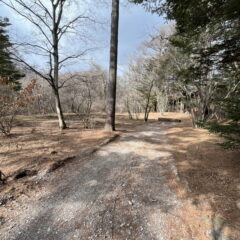 【売土地】上の原土地　約369坪 画像2