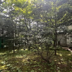 【売土地・古家付】南ヶ丘　売ペンション 画像3