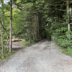 【売土地】上の原土地　約369坪 画像8
