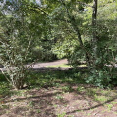 【売土地】上の原土地　約369坪 画像10