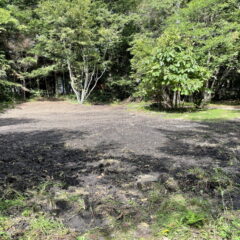 【売土地】上の原土地　約369坪 画像11