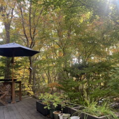 360度画像あり☆【シーズン貸】ベバリーヒル戸建　☆Wi-Fiあり！ 画像11