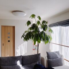 【売店舗付き住宅】塩沢中古戸建 画像10