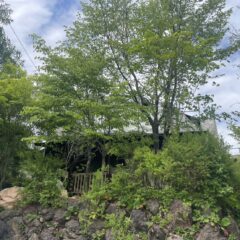【戸建】追分ログハウス